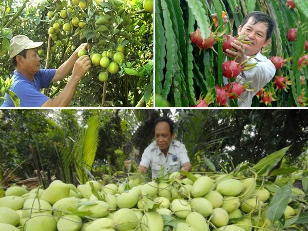 Đẩy lùi nông sản Trung Quốc ảnh 2