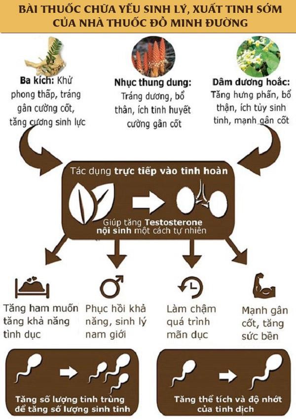 Cách chữa yếu sinh lý, xuất tinh sớm bằng thảo dược ảnh 3 Cách chữa yếu sinh lý, xuất tinh sớm bằng thảo dược ảnh 3