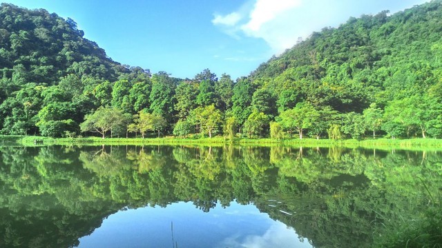 Vườn quốc gia Cúc Phương lần thứ 5 liên tiếp nhận giải thưởng "Vườn quốc gia hàng đầu châu Á" ảnh 1
