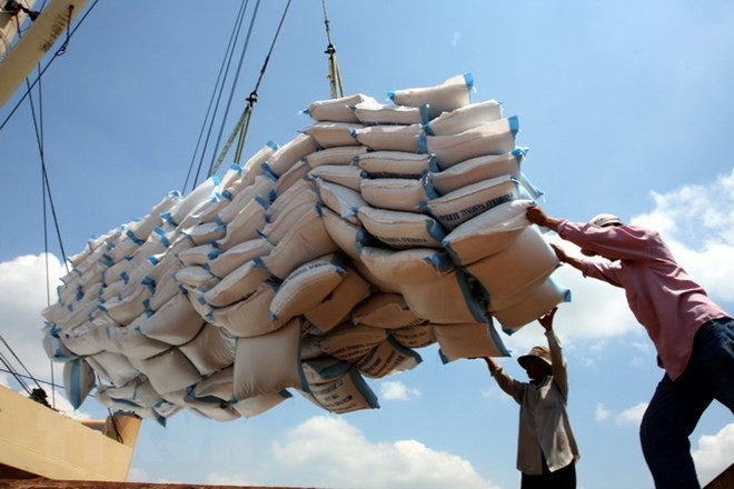 Indonesia muốn nhập 2 triệu tấn gạo, doanh nghiệp Việt Nam tận dụng cơ hội thế nào? ảnh 1