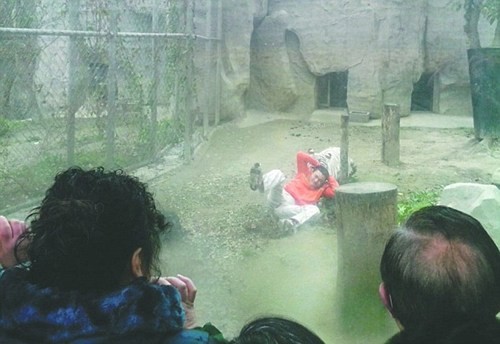Say rượu, nam sinh viên cởi trần trùng trục, nhảy vào chuồng...bắt hổ ảnh 2