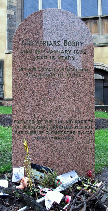 Greyfriars Bobby- chú chó trung thành của thành phố Edinburgh ảnh 4