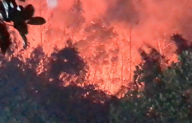 Cháy rừng thông ở Nghệ An đã được dập tắt dưới sự nỗ lực xuyên đêm của 400 người ảnh 1