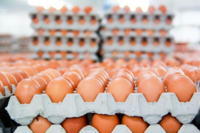 Hồng Kông gỡ bỏ lệnh cấm nhập khẩu trứng gia cầm từ Việt Nam ảnh 1