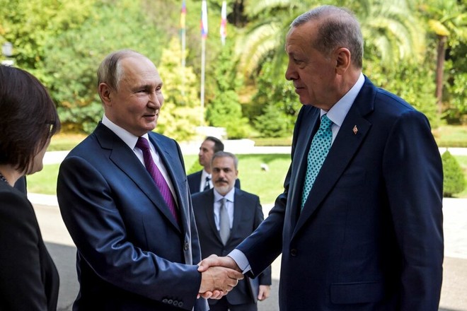 Tổng thống Putin nói về Sáng kiến ngũ cốc Biển Đen sau cuộc hội đàm với ông Erdogan ảnh 1