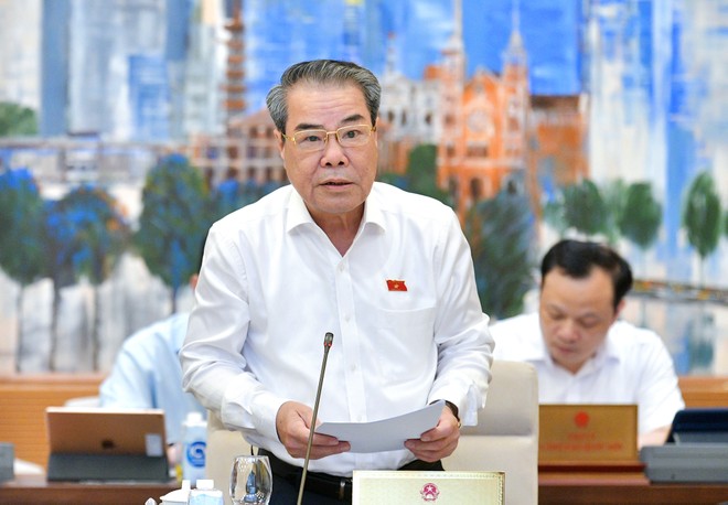 Trưởng Ban Dân nguyện của UBTVQH Dương Thanh Bình trình bày báo cáo