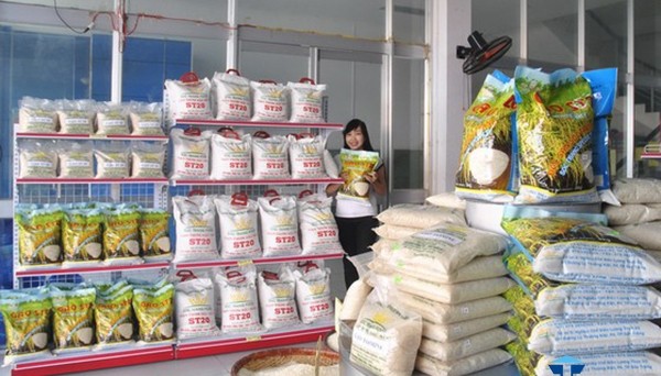 Giá gạo tăng do nhu cầu và nguồn cung giảm