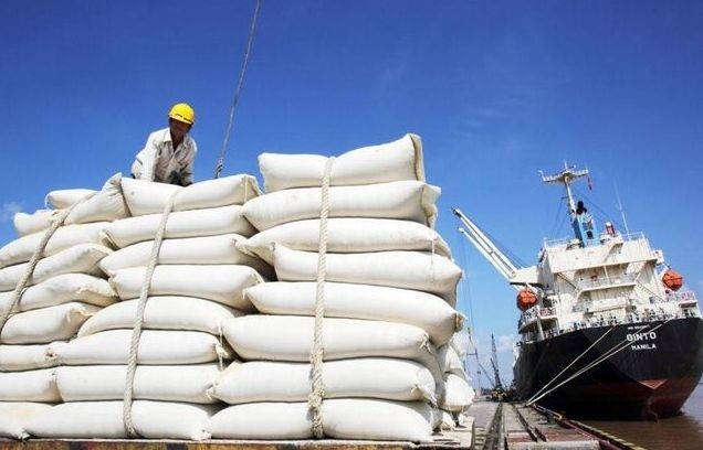 Giá gạo xuất khẩu của Việt Nam giảm mạnh