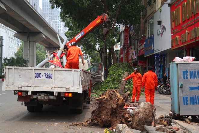 Dự kiến, công tác thu dọn các cây xanh gãy, đổ phải đến 25/4 mới hoàn thành