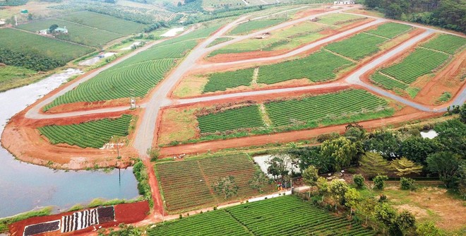 Đất nông nghiệp có thể chuyển đổi sang đất ở phải đủ các điều kiện theo quy định ở Luật Đất đai (Ảnh minh họa)