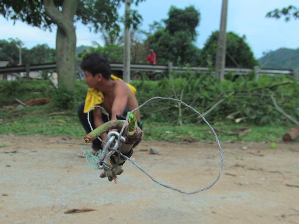 Trắng đêm lên núi săn kỳ nhông ảnh 2