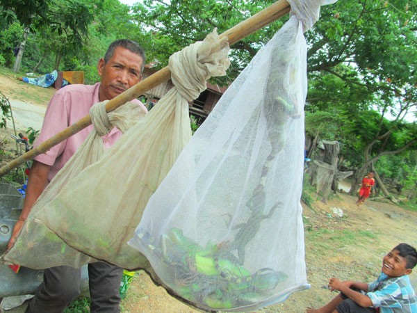 Trắng đêm lên núi săn kỳ nhông ảnh 1